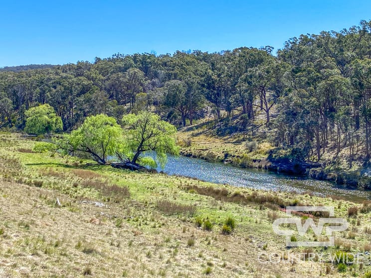 Click to view all images 954 Bullock Mountain Road Glen Innes NSW 2370 - Image 3