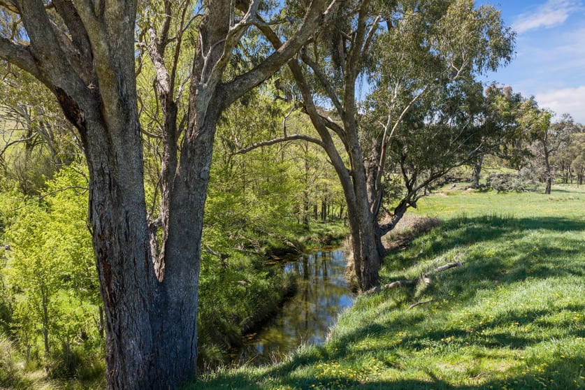 Click to view all images "Wattle Grove "1649 Coolalie Road Yass NSW 2582 - Image 3