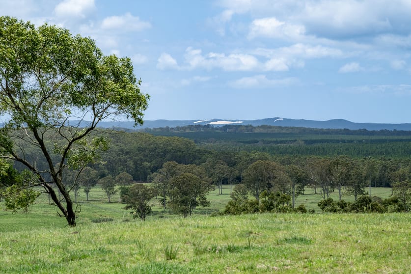 239 Parsons Road Coondoo QLD 4570 - Image 2