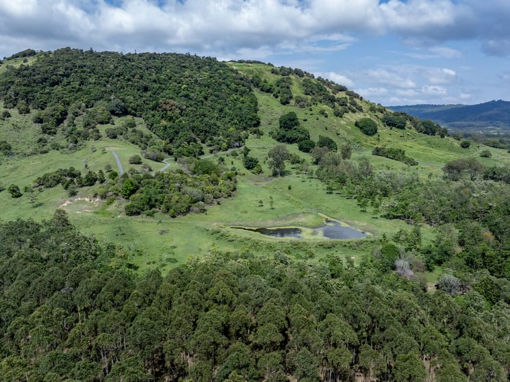 239 Parsons Road Coondoo QLD 4570 - Image 3