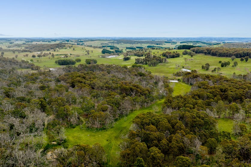 153 Wiarborough Road, Wiarborough via Taralga NSW 2580 - Image 2