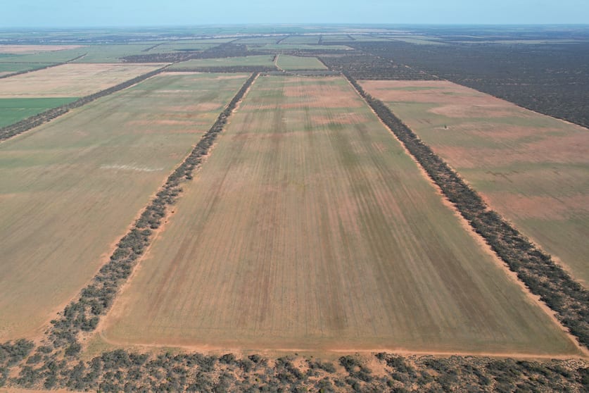 13269 Goyder Highway Taylorville SA 5330 - Image 3