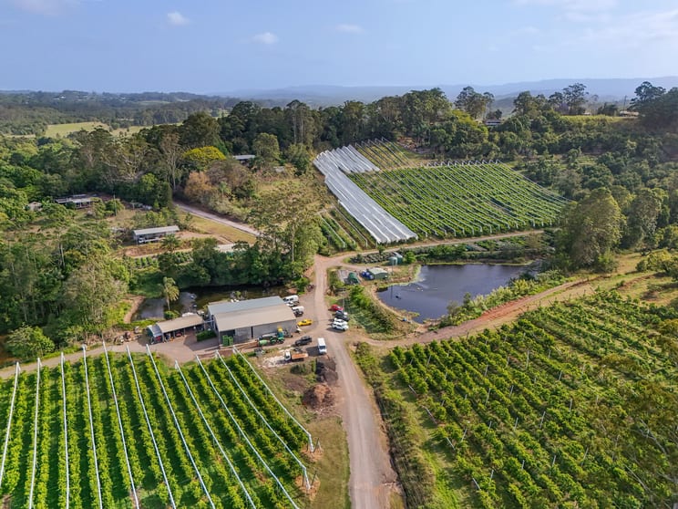 Click to view all images 43 Pringle Road Rosemount QLD 4560 - Image 1