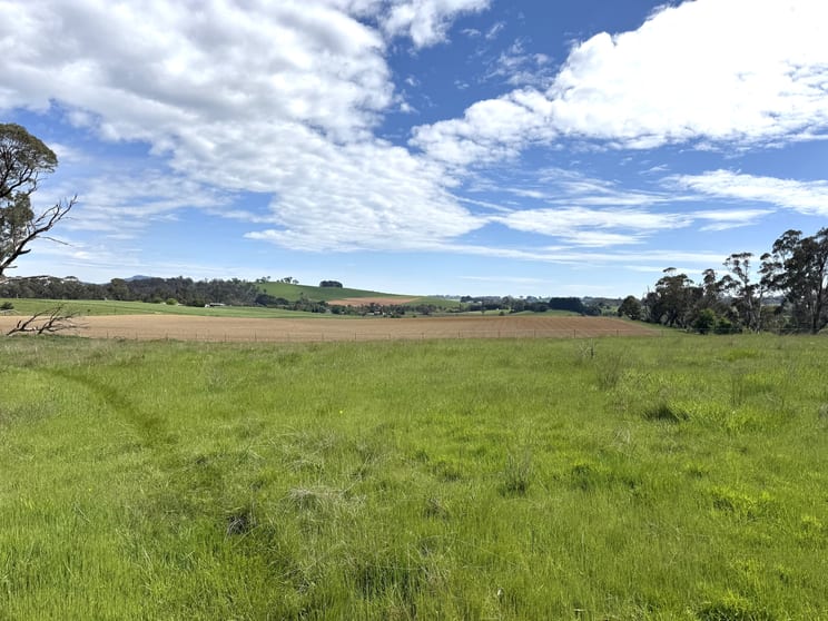 111 Teasdale Road Neville NSW 2799 - Image 1