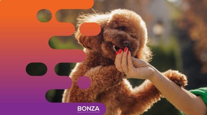 Animal Related  business for sale in Manly - Image 2