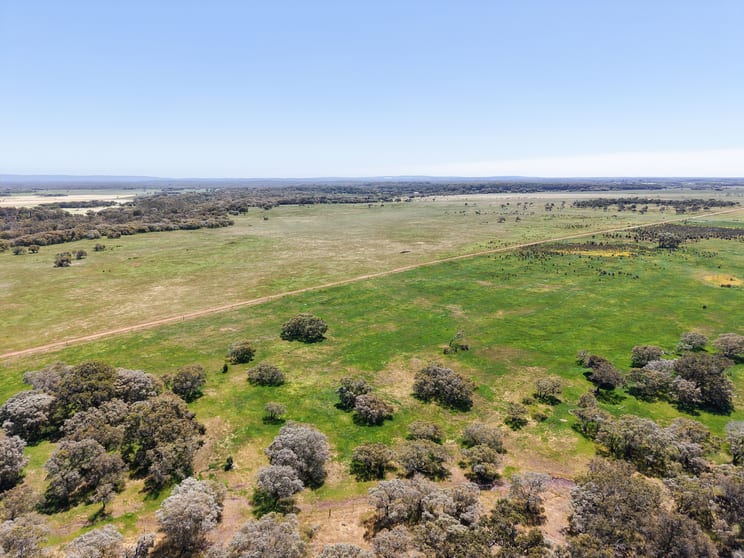 Lot 1 Coostien Road Scott River WA 6288 - Image 3