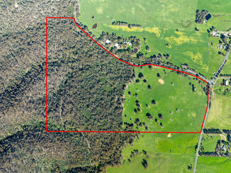 368 Rubicon Road Rubicon VIC 3712 - Image 3