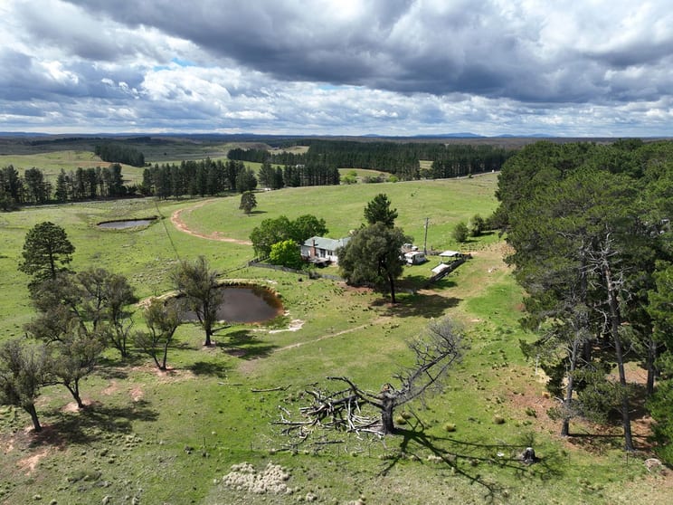 3141 Oallen Ford Road Windellama NSW 2580 - Image 1