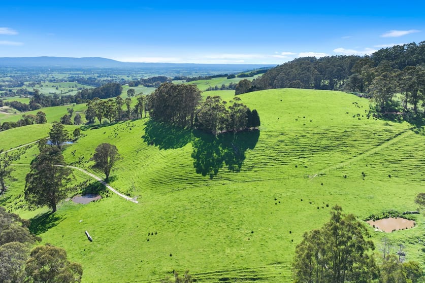 196 Peters Road Ellinbank VIC 3821 - Image 1