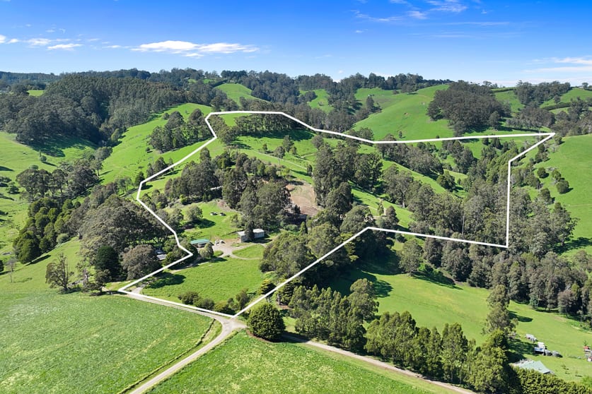 196 Peters Road Ellinbank VIC 3821 - Image 2