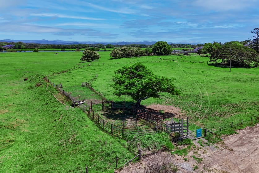 Click to view all images West Kempsey NSW 2440 - Image 3