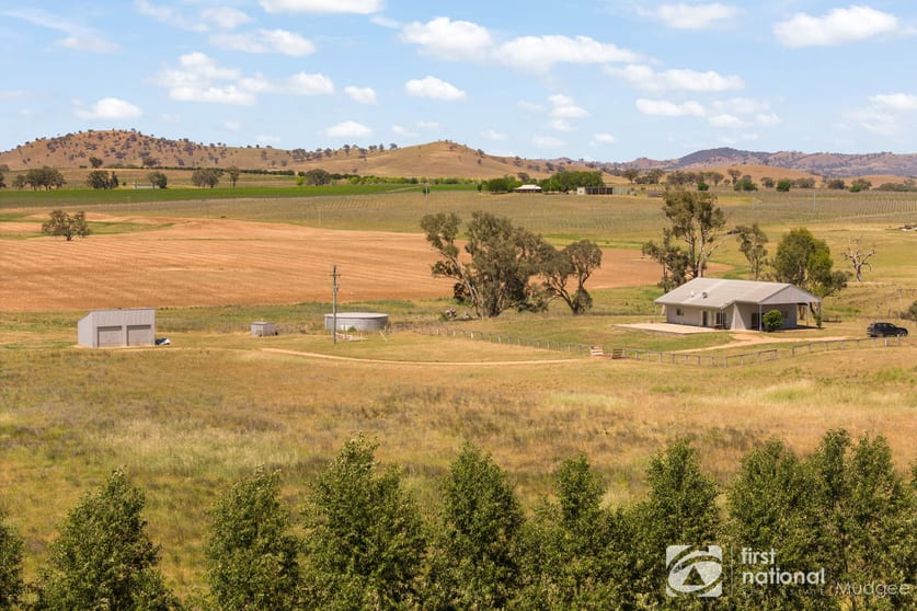 132 Shiraz Drive Gulgong NSW 2852 - Image 1