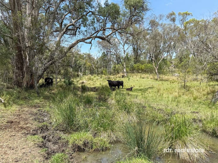 Click to view all images 2250 Copeton Dam Rd Inverell NSW 2360 - Image 2