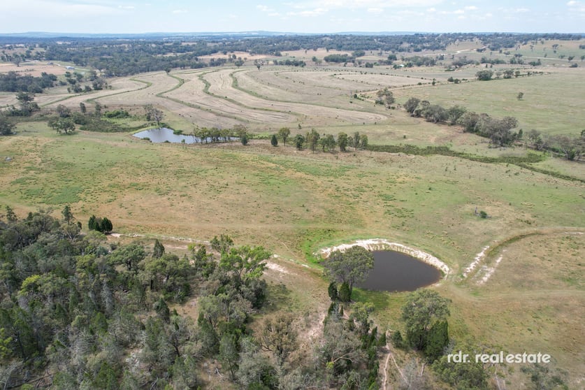 Click to view all images 2250 Copeton Dam Rd Inverell NSW 2360 - Image 3