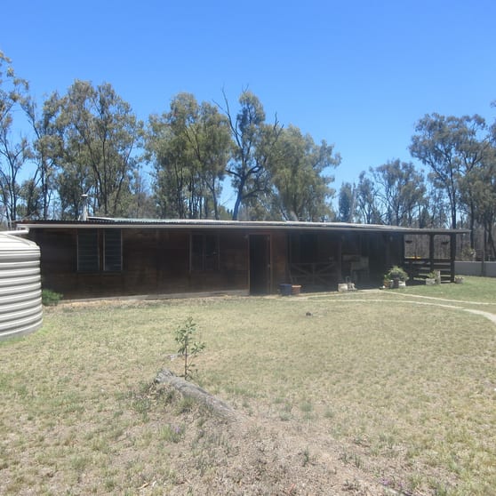 Tara QLD 4421 - Image 1