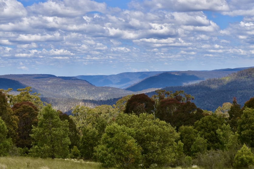 Click to view all images 363 Sheepstation Forest Road Gingkin NSW 2787 - Image 3