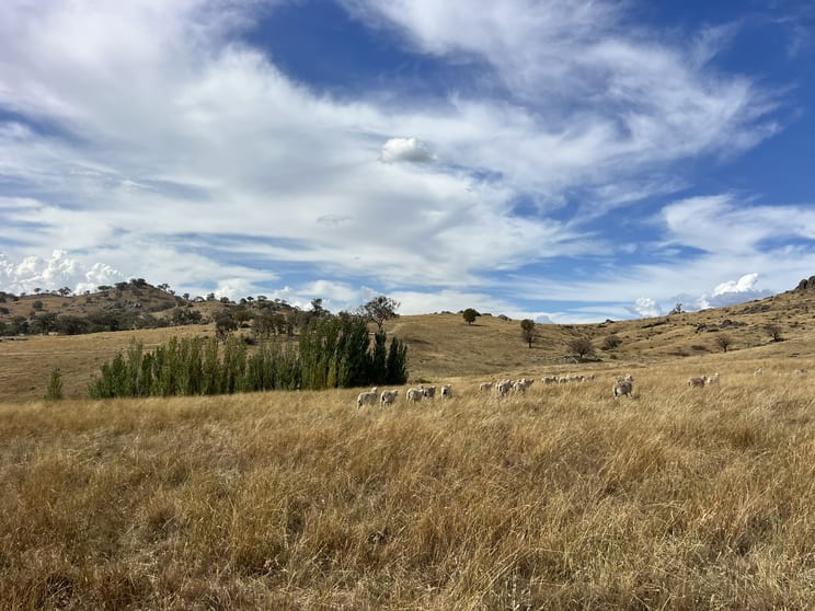 Lot 1 Mount Mcdonald Road Wyangala NSW 2808 - Image 1