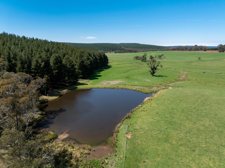 Click to view all images 439 Tuglow Forest Road Shooters Hill NSW 2787 - Image 1