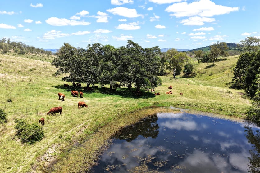 516 Scrub Creek Road Scrub Creek QLD 4313 - Image 2