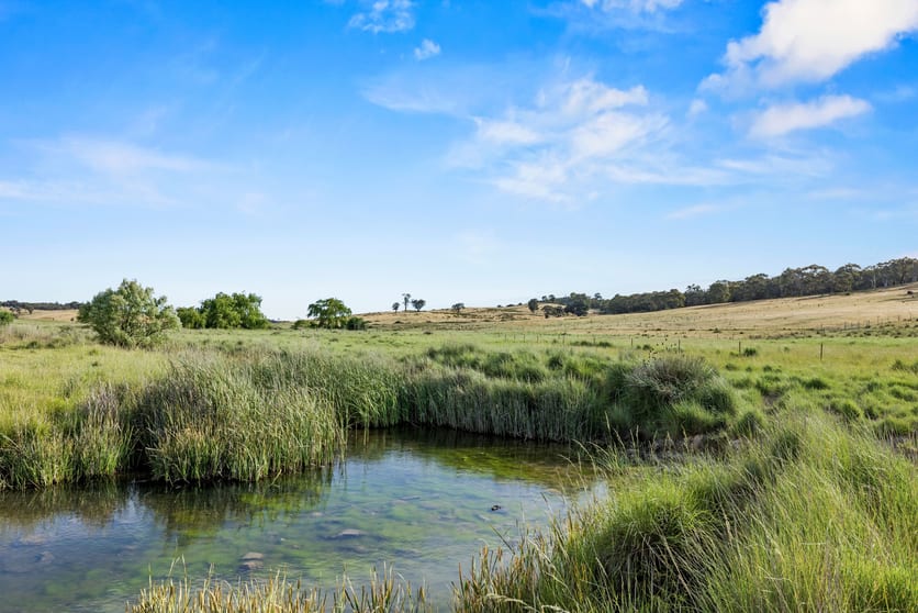 Lot 38 Gentle Destiny Road Boorowa NSW 2586 - Image 3