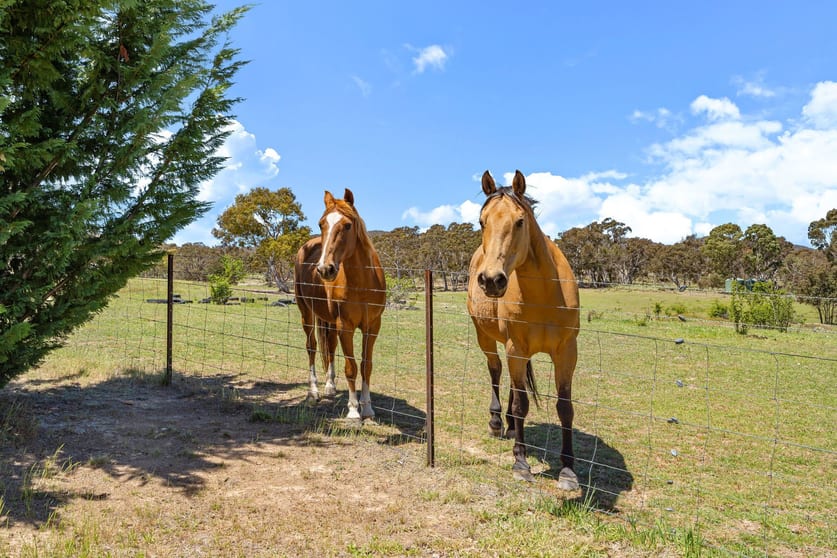 35 Sheehan Road Hoskinstown NSW 2621 - Image 2