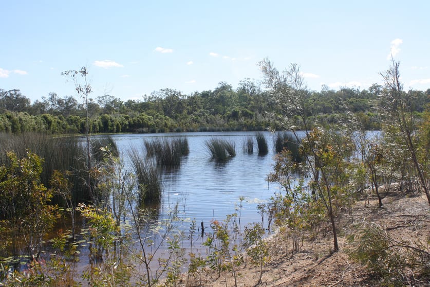 13/ Barnards Road Moorland QLD 4670 - Image 1