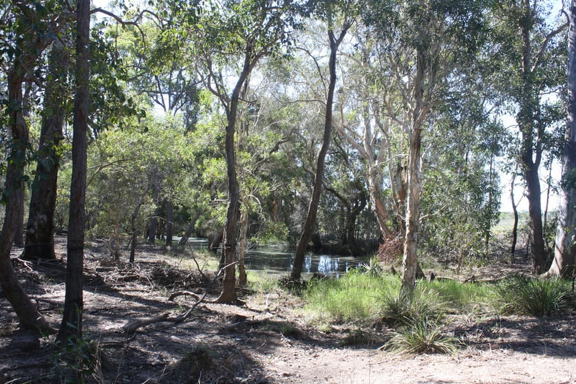 13/ Barnards Road Moorland QLD 4670 - Image 2