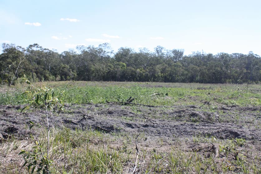 13/ Barnards Road Moorland QLD 4670 - Image 3