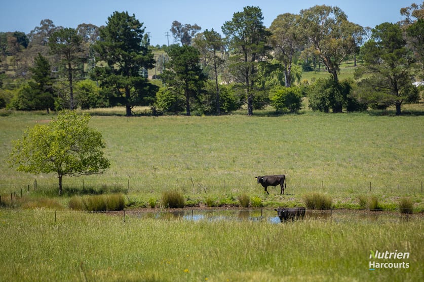 Click to view all images 40 Roseneath Lane Armidale NSW 2350 - Image 1