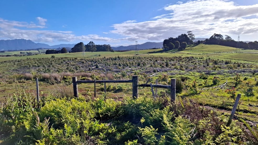 108 Weeks Road Barrington TAS 7306 - Image 3