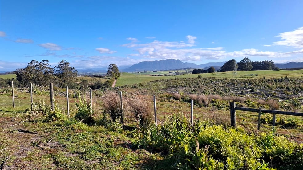 108 Weeks Road Barrington TAS 7306 - Image 2