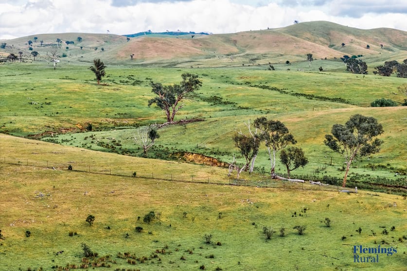 1479 Grassy Creek Road Rugby NSW 2583 - Image 3