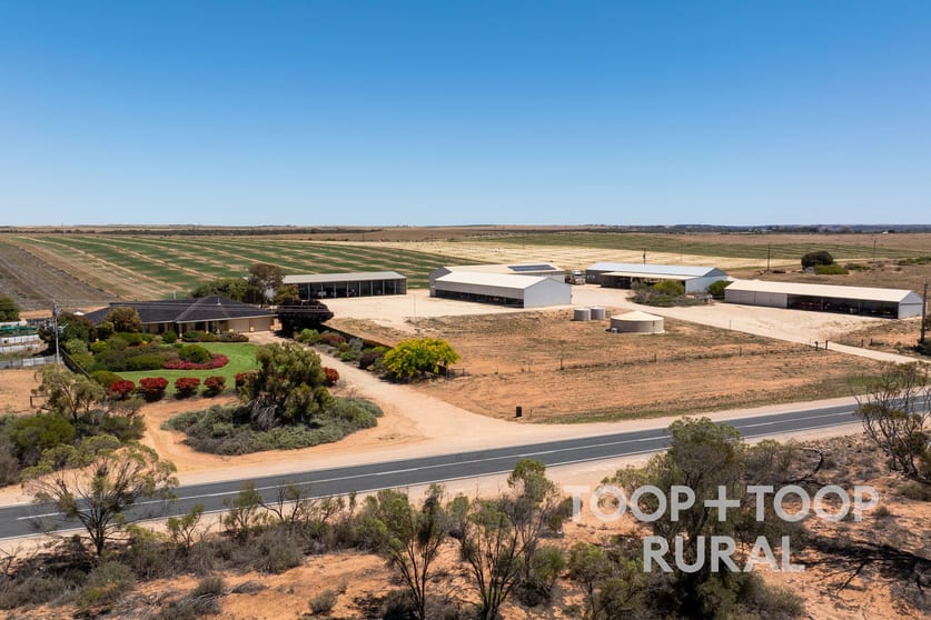 4457 Hunter Road Nildottie SA 5238 - Image 2