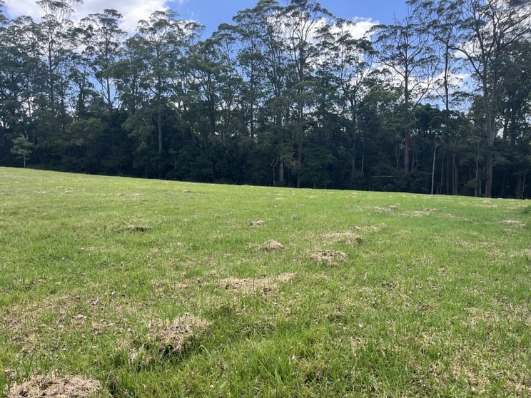 Lot 39/ Esk-Hampton Road Ravensbourne QLD 4352 - Image 3