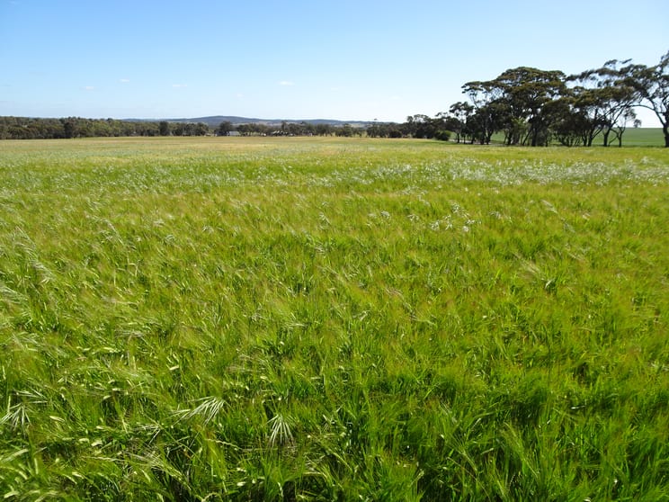 Lot 51 & 1 Boyagarra Road Brookton WA 6306 - Image 2