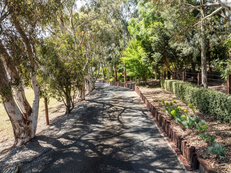 Click to view all images 115 Swann Road Alexandra VIC 3714 - Image 3