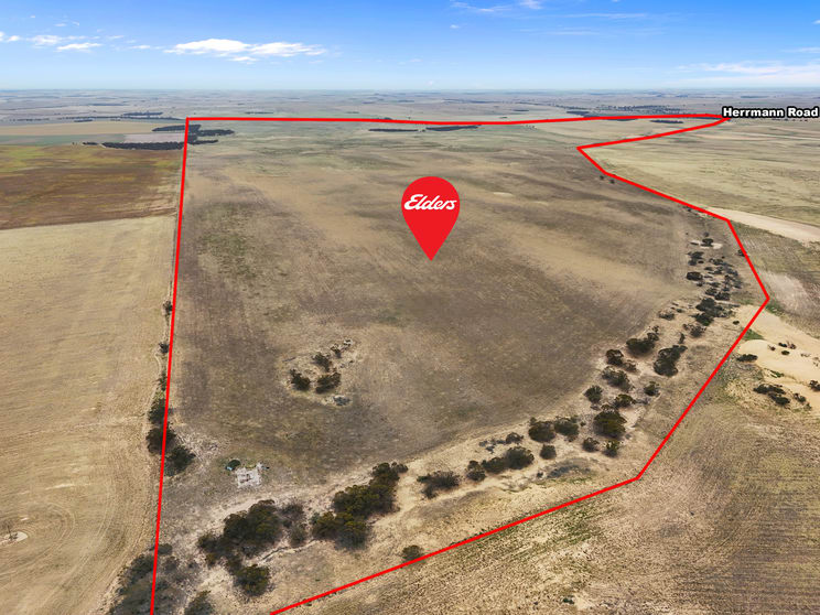 Click to view all images Lot 12 Lord Road Perponda SA 5308 - Image 3
