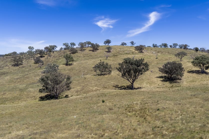 Click to view all images Lots 46 & 70, 499 Mebul Road Gulgong NSW 2852 - Image 3