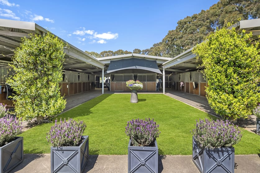 Click to view all images 356 Shands Road Main Ridge VIC 3928 - Image 1