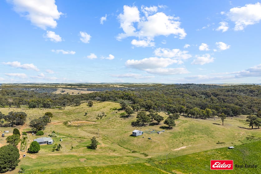 699 Taylors Flat Road Boorowa NSW 2586 - Image 2