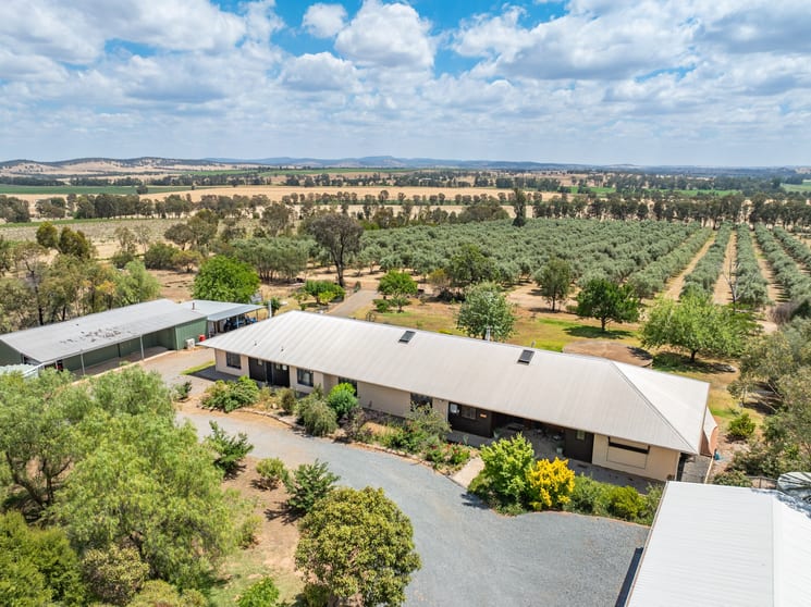 20/444 Rivers Road Canowindra NSW 2804 - Image 2