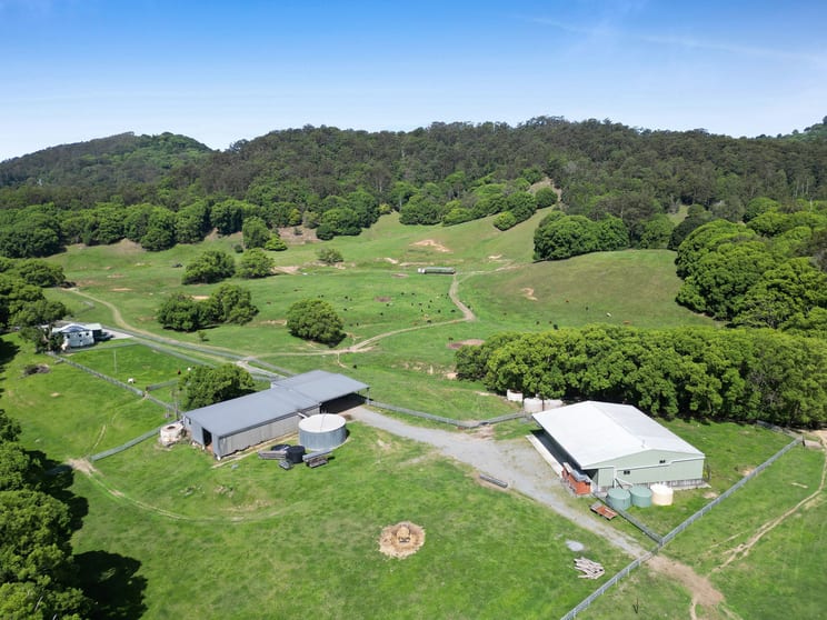 Click to view all images 1039 Currumbin Creek Road Currumbin Valley QLD 4223 - Image 1