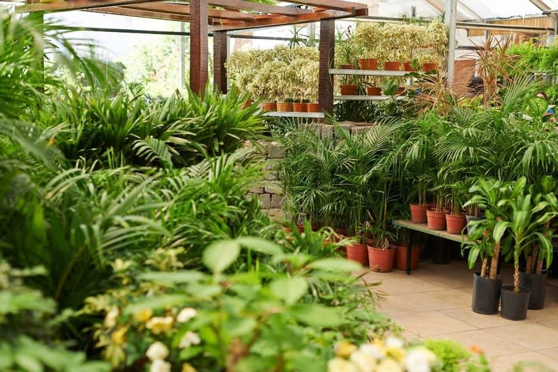 Nursery  business for sale in QLD - Image 3