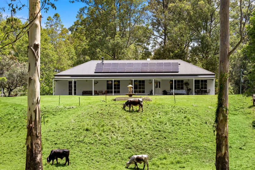 737 Smiths Creek Road, Smiths Creek Kyogle NSW 2474 - Image 1