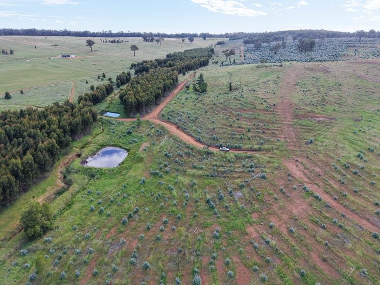 Lot 1251 Peninsula Road Bridgetown WA 6255 - Image 3