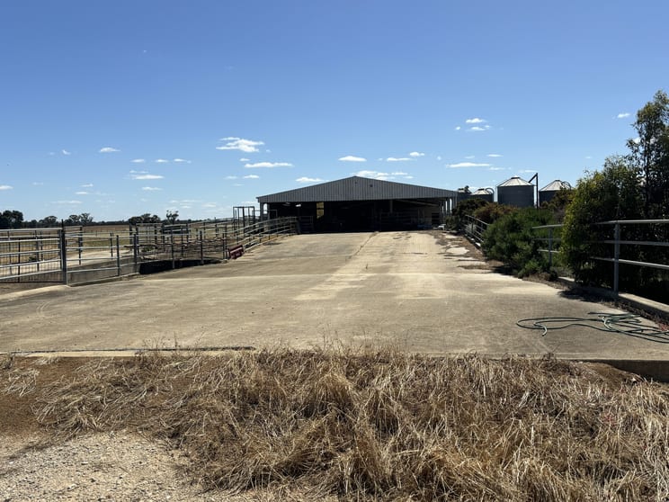 1595 MacGregor Road Timmering VIC 3561 - Image 2