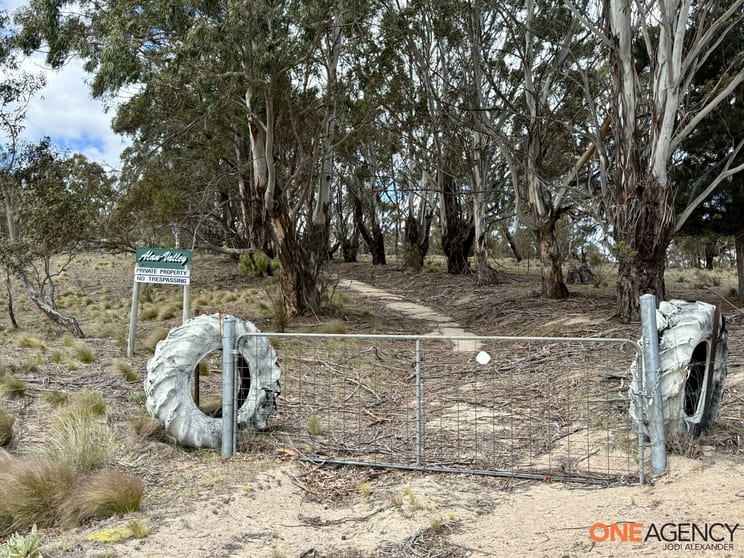Lots 73 & 78 / 125 Fistys Lane Jerangle NSW 2630 - Image 2