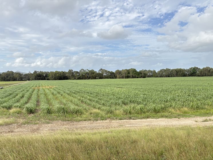 Click to view all images 2/ Oakenden Sarina Road Oakenden QLD 4741 - Image 1