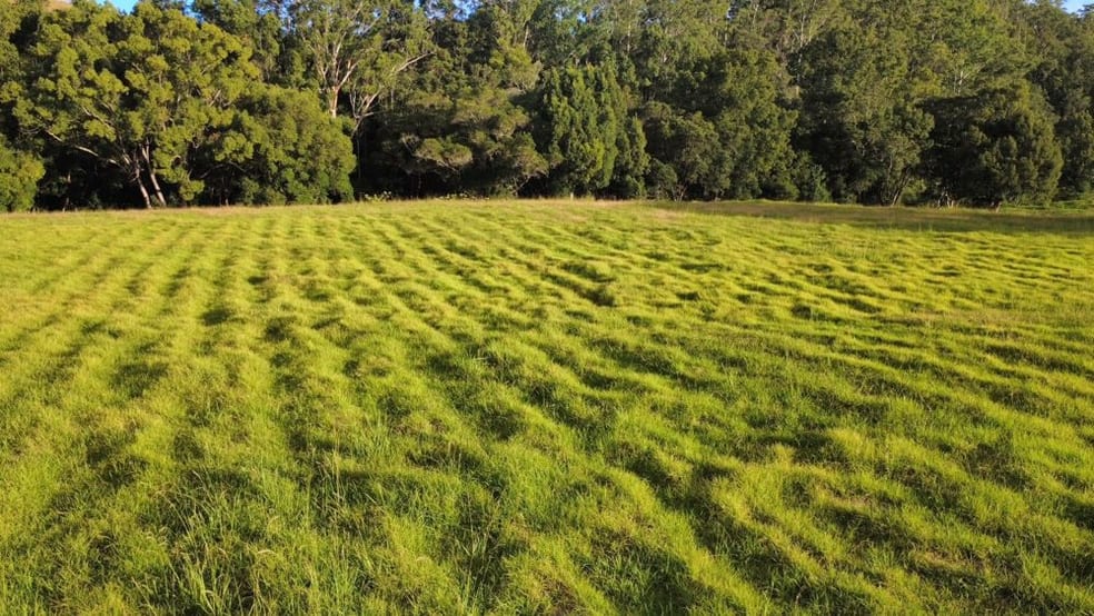 486 North Branch Rd Upsalls Creek NSW 2439 - Image 2
