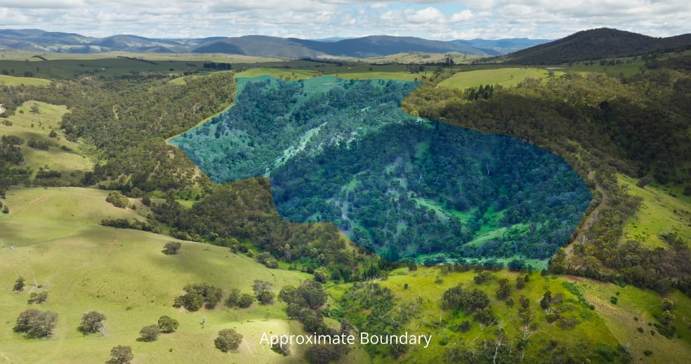 Lot 3 - 289 Tongio Gap Road Tongio VIC 3896 - Image 3